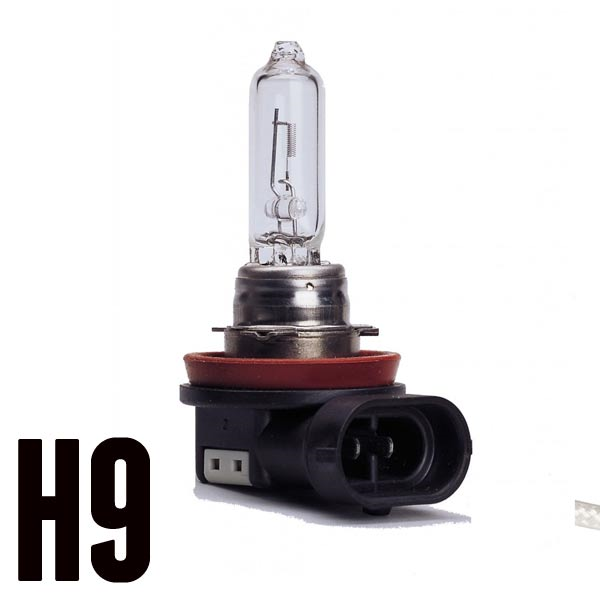 H9 Halogenlampe 65W